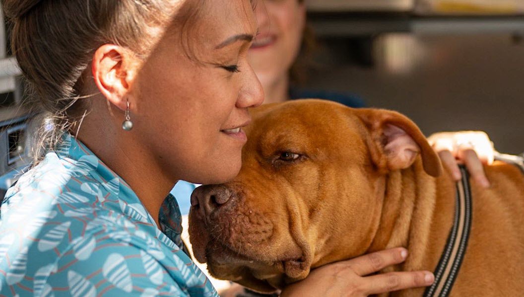 A woman pressing against a dog's face