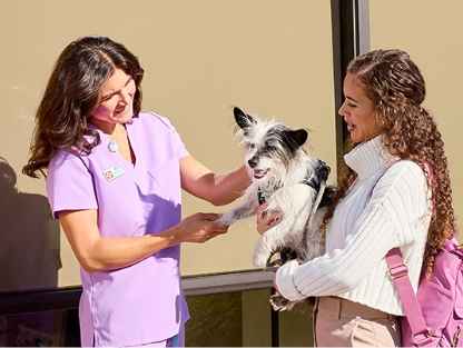 A vet tech examining a dog 